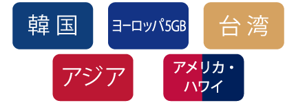 Wi Ho Prepaid Sim For Traveler To Japan By Telecom Square